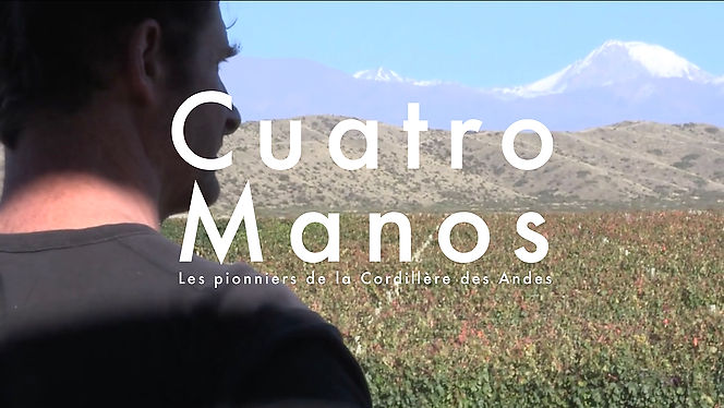 Cuatro Manos - Web Série documentaire 11x5'
